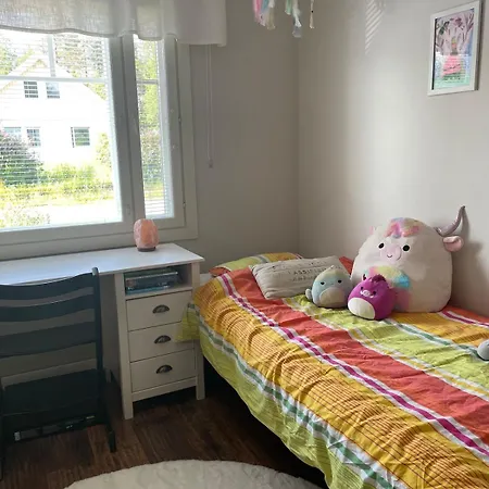 Three-bedroom With Sauna And Hot Tub * 로바니에미