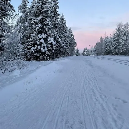 Three-bedroom With Sauna And Hot Tub * Рованиеми