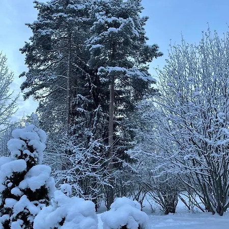 Three-bedroom With Sauna And Hot Tub * Рованиеми